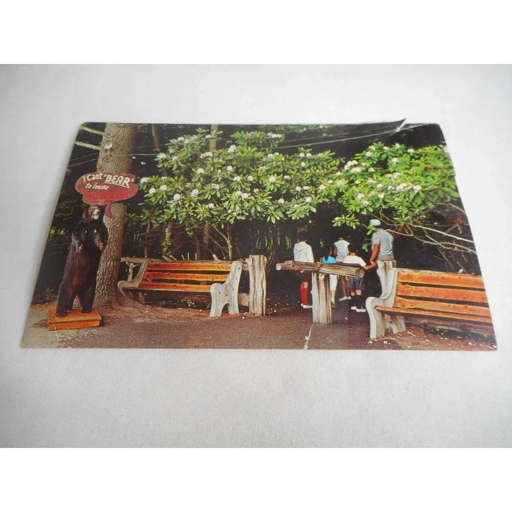Vintage Postcard unposted Bushkill Falls, PA entrance rhododendron 1960s